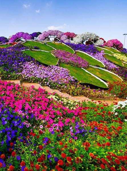 dubai flower centre