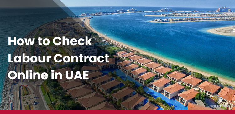 How to Check UAE Labour Contract Online