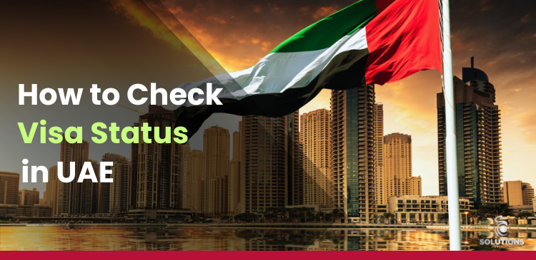 How to Check Visa Status in UAE?